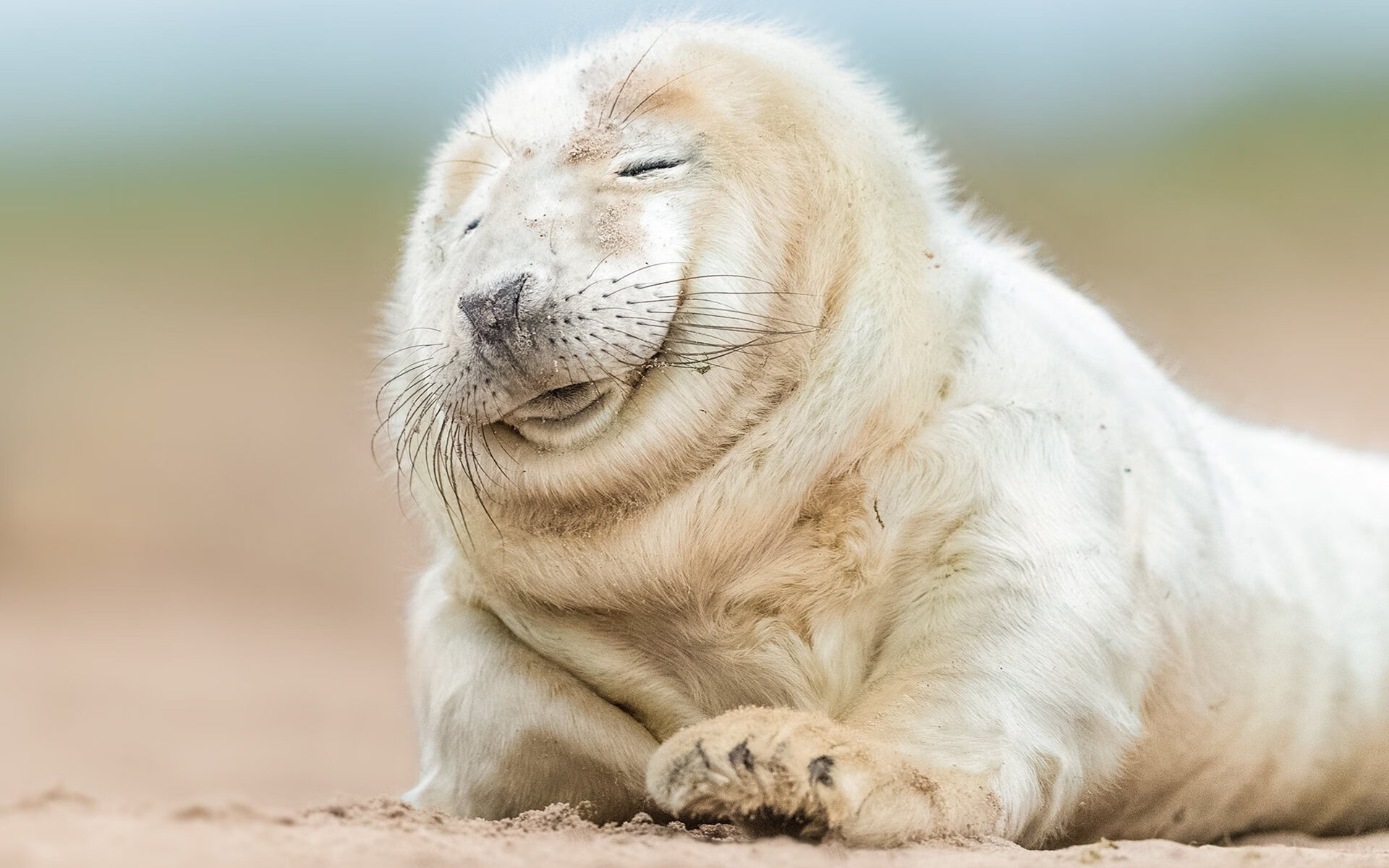 唯一的胜利,王皓绝境高光终结德国心魔