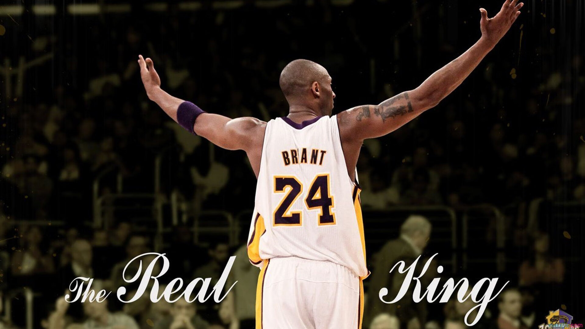 赛道变战场，雷诺何以轻取阿斯顿马丁？勒克莱尔带队的艺术