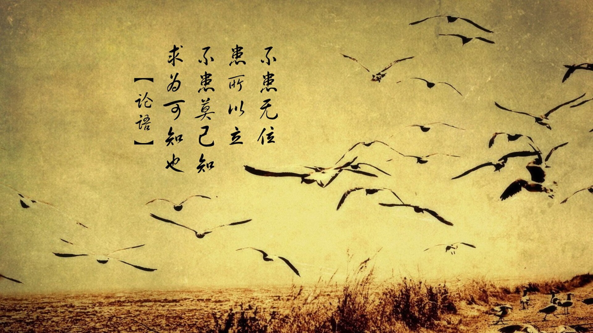 唯一性的见证,索伯车队历史性完胜雷诺,勒克莱尔全场统治的传奇之战