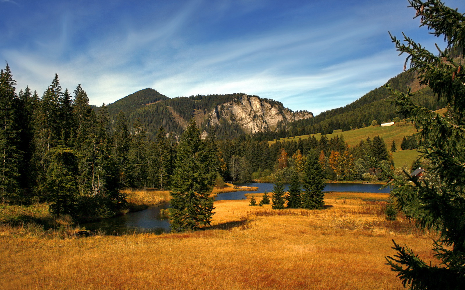 逆转基因,从坎尼战场到现代绿茵,为何罗马人与德布劳内共享同一种血液