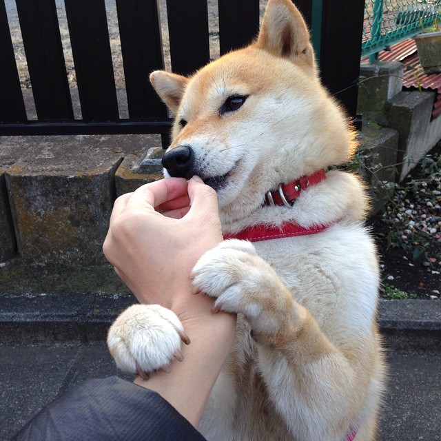 并非在波士顿,当米切尔时刻穿越时空,在奥兰多点燃凯尔特人翻盘的古老火种