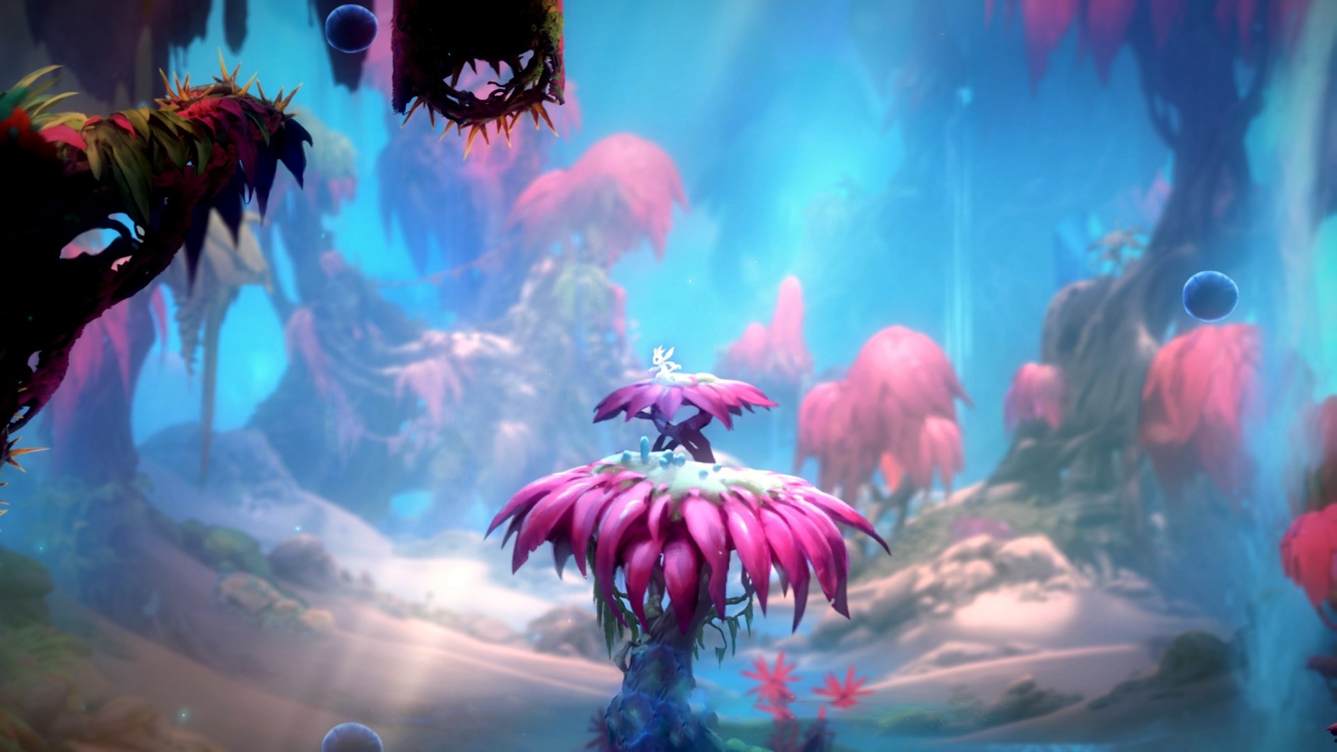 团队篮球的胜利，个人英雄的史诗