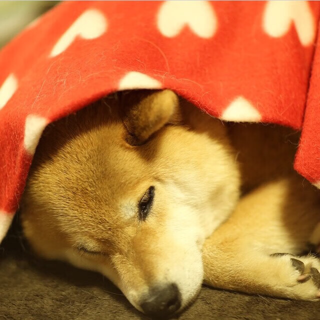 冰与火之歌,拉梅洛·鲍尔的总决赛节奏诗篇