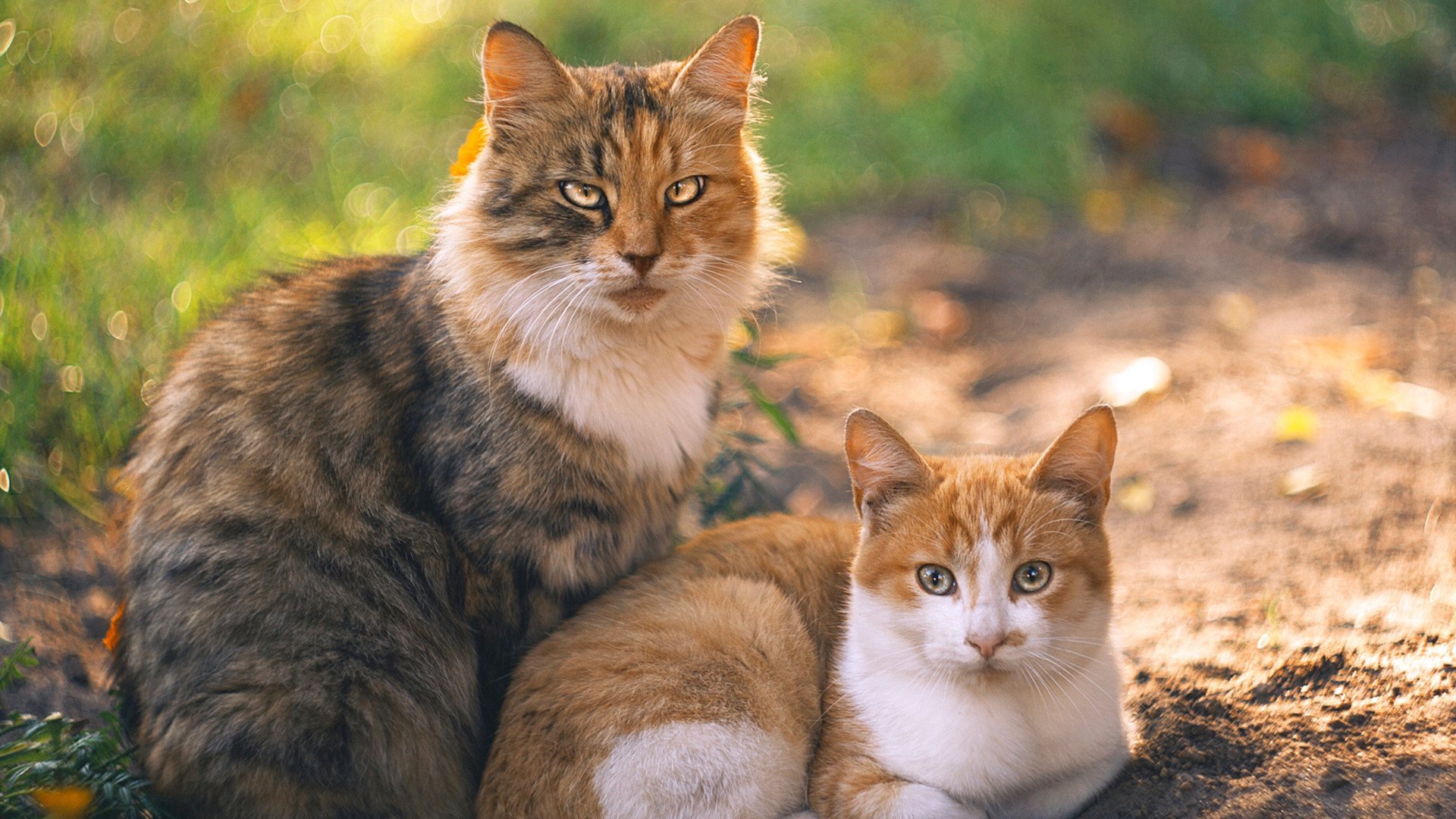 神罚时刻！莫兰特50分加时封神，掘金鏖战击碎马刺王朝残影