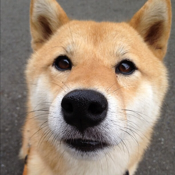 爱游戏tv-场上瑞典强压喀麦隆，场边阿圭罗评分拉满，一场胜利与一份跨越边界的认可