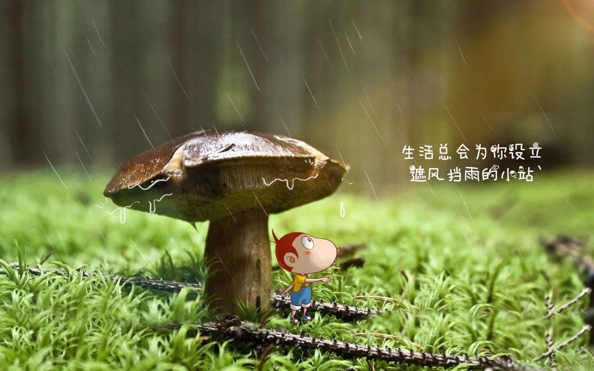 当大象踏碎日耳曼战车，一场由上帝视角主导的F组启示录