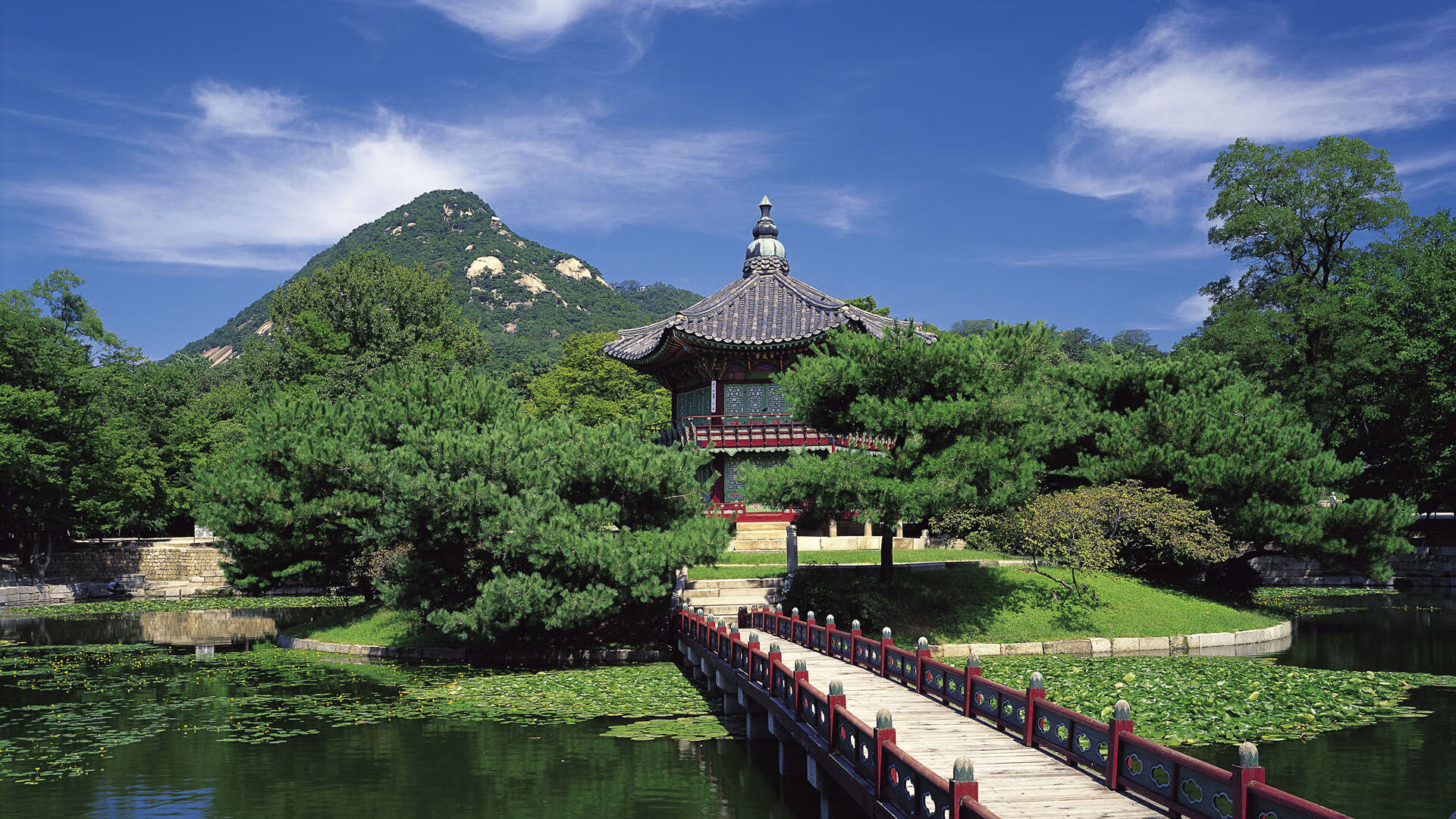 1.坎塞洛一人导演风暴,哥斯达黎加如何用战术智慧摧毁波兰