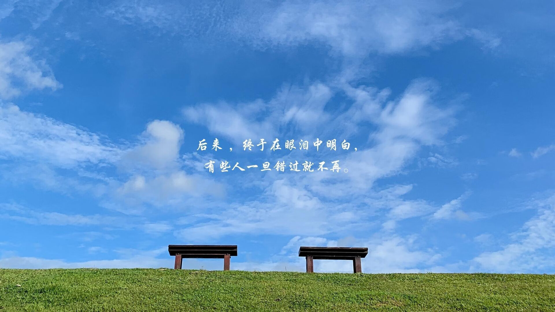 命运的重影,2026世界杯,当德国逆转卡塔尔,阿方索·戴维斯在历史裂缝中写下唯一传奇